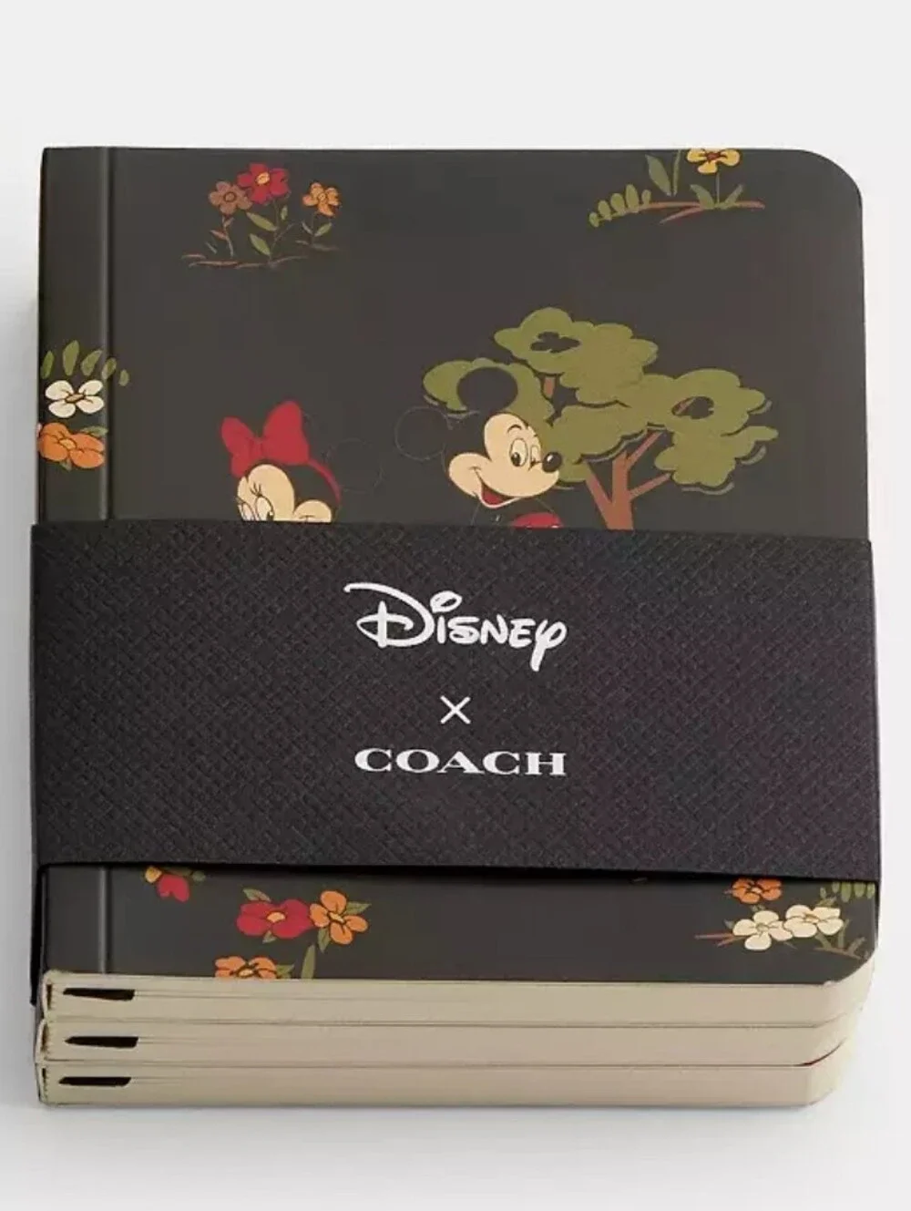 New Disney X Coach Mini Notebook Set with Mickey Mouse and Friends
